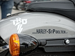 Harley Roadster für die Dudes 16.06.2018